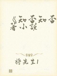 《知否知否》原著小说