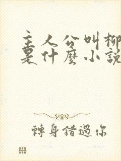 主人公叫柳如烟是什么小说封面
