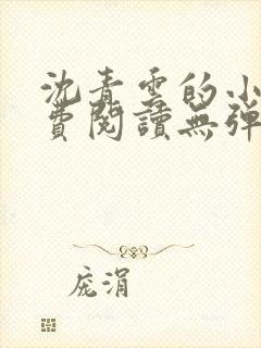 沈青云的小说免费阅读无弹窗