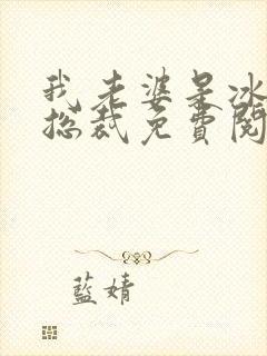 我老婆是冰山女总裁免费阅读全文