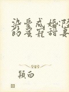 染爱成婚:陆少的蜜宠甜妻