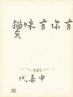 猫咪有你有我足矣
