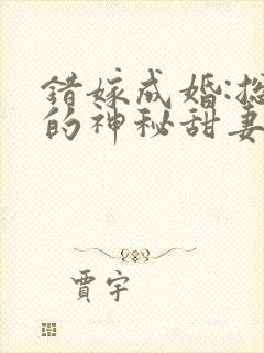 错嫁成婚:总裁的神秘甜妻封面