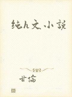纯h文小说
