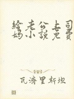 给老公上司当奶妈小说免费阅读全文