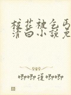 校花被乞丐毁了清白小说免费阅读