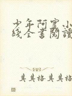少年阿宾小说在线全书阅读无弹窗免费