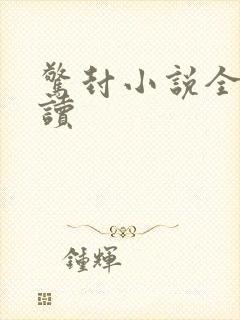 惊封小说全文阅读封面