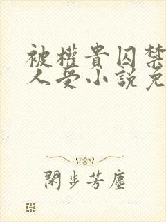 被权贵囚禁的美人受小说免费阅读下