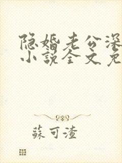 隐婚老公深夜来小说全文免费阅读
