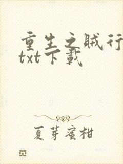 重生之贼行天下txt下载