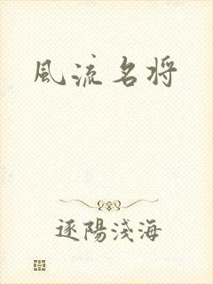 风流名将封面