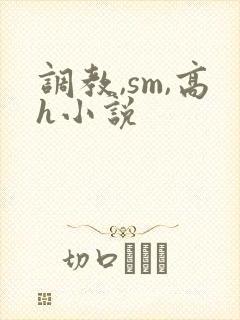 调教,sm,高h小说