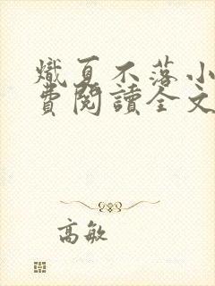 炽夏不落小说免费阅读全文