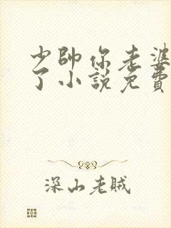 少帅你老婆又跑了小说免费观看