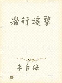 潜行追击