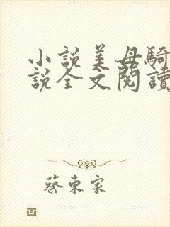 小说美母骑士小说全文阅读