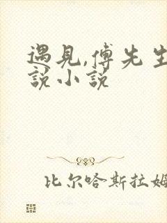 遇见,傅先生小说小说