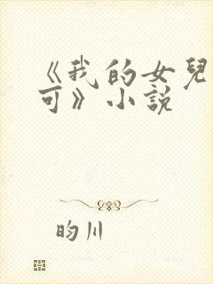 《我的女儿叫小可》小说