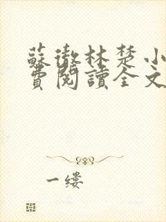 苏彻林楚小说免费阅读全文