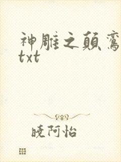 神雕之颠鸾倒凤txt