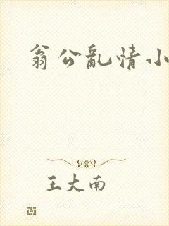 翁公乱情小莹