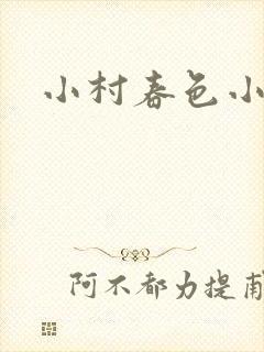 小村春色小说