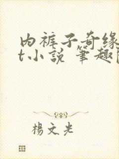 内裤子奇缘txt小说 笔趣阁封面