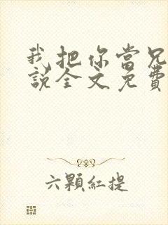 我把你当兄弟小说全文免费阅读封面