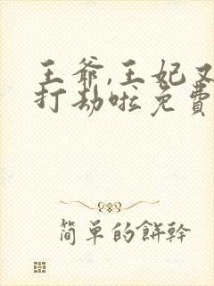王爷,王妃又去打劫啦免费阅读