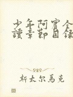 少年阿宾全文阅读章节目录封面