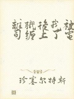 离职后我被前上司缠上了电视剧封面