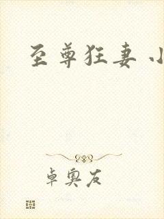 至尊狂妻 小说