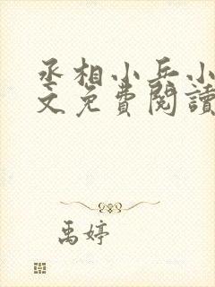 丞相小兵小说全文免费阅读无弹窗