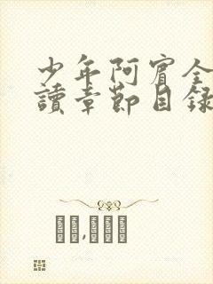 少年阿宾全文阅读章节目录