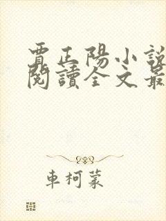 贾正阳小说免费阅读全文最新章节