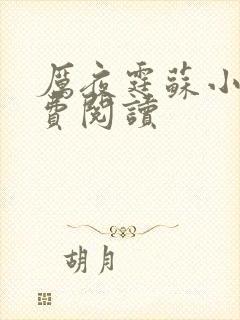 厉夜霆苏小汐免费阅读