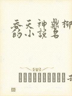 吞天神鼎柳无邪的小说名