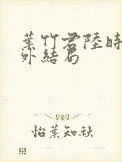 叶竹君陆时琛番外结局