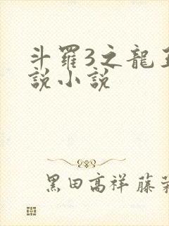 斗罗3之龙王传说小说封面
