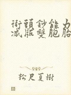 街头钞能力无删减版双胞胎