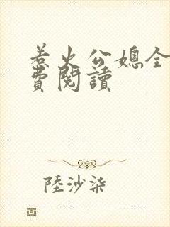 惹火公媳全文免费阅读封面