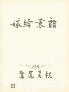 嫁给袁朗