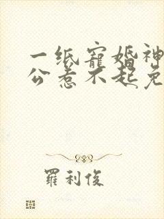 一纸宠婚神秘老公惹不起免费阅读