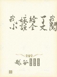 我嫁给了我儿子小说全文阅读封面