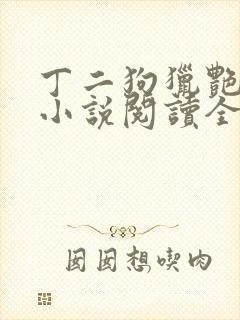 丁二狗猎艳人生小说阅读全文