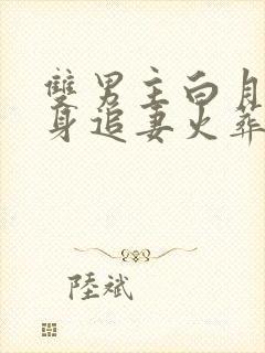 双男主白月光替身追妻火葬场