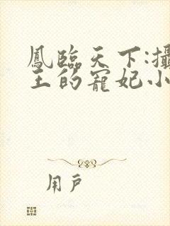 凤临天下:摄政王的宠妃小说