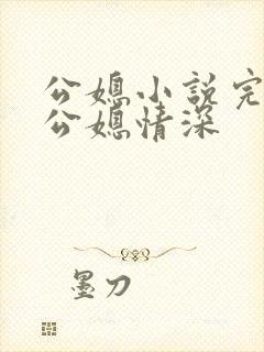 公媳小说完结版公媳情深封面