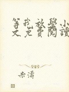 等我放学小说全文免费阅读